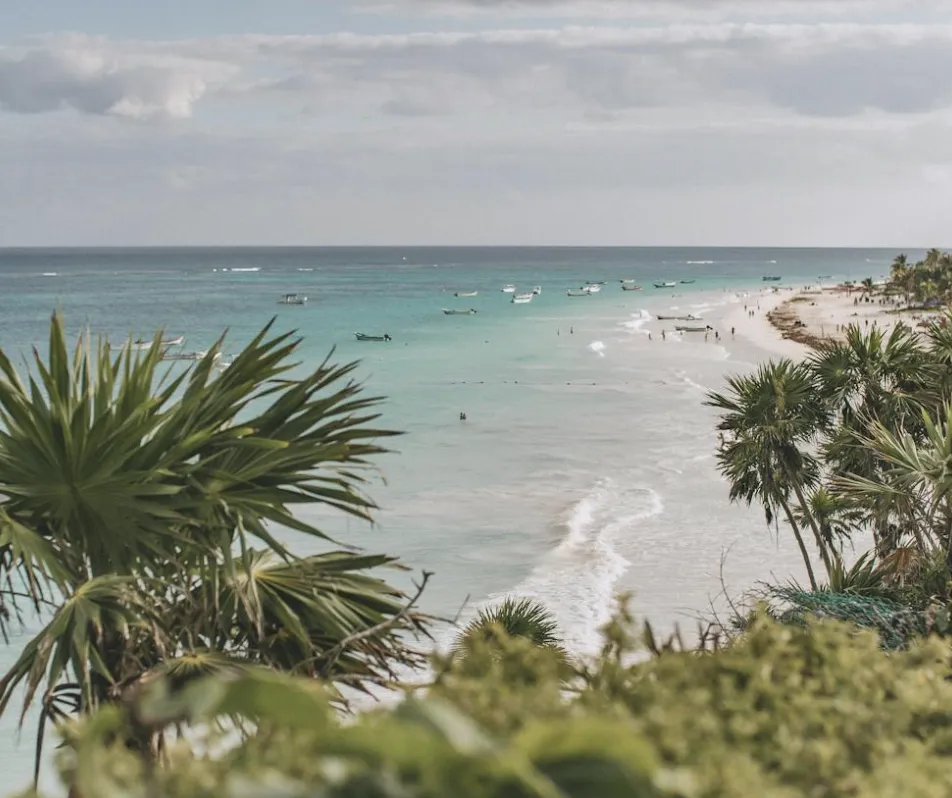 Captura de pantalla 2025-04-30 a la(s) 9.08.50 a. m.