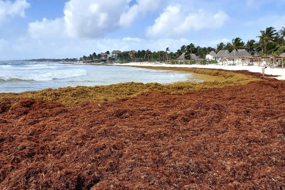 Captura de pantalla 2025-05-27 a la(s) 10.32.18 a. m.