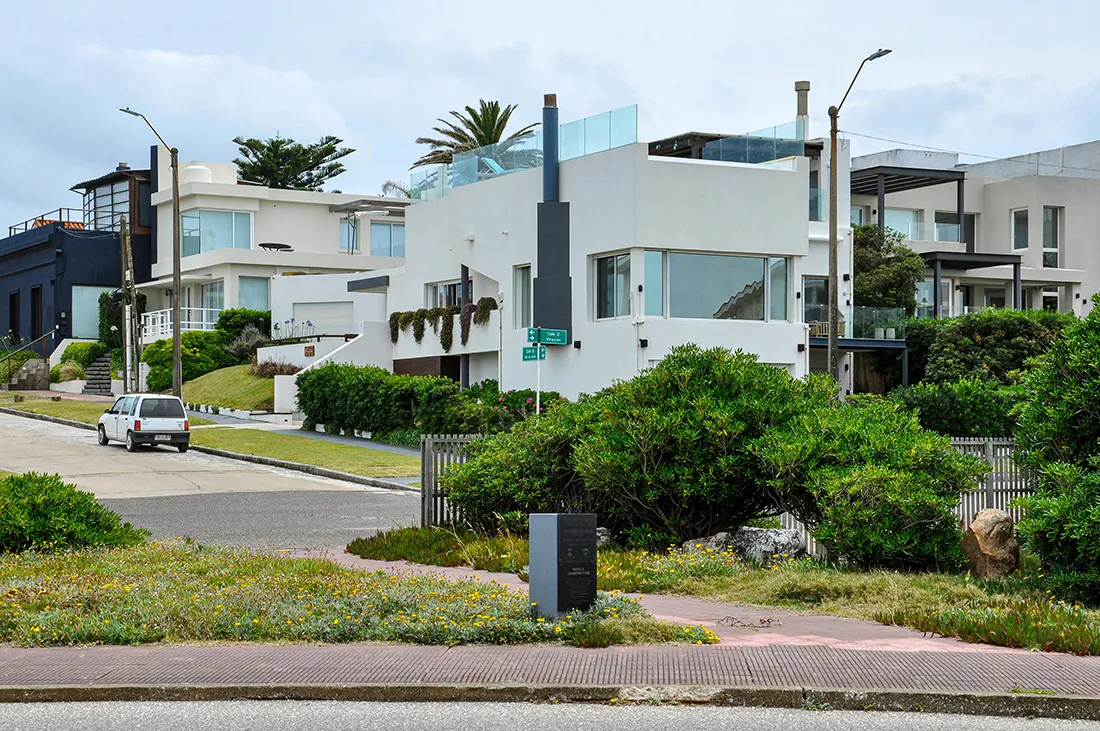 pexels-nikolai-kolosov-35025623