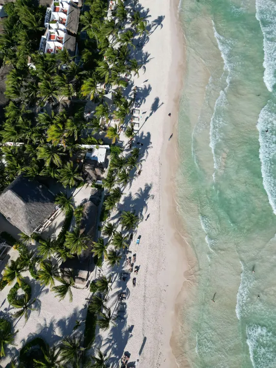 pexels-maria-daniela-garcia-nogueira-555699319-16741473