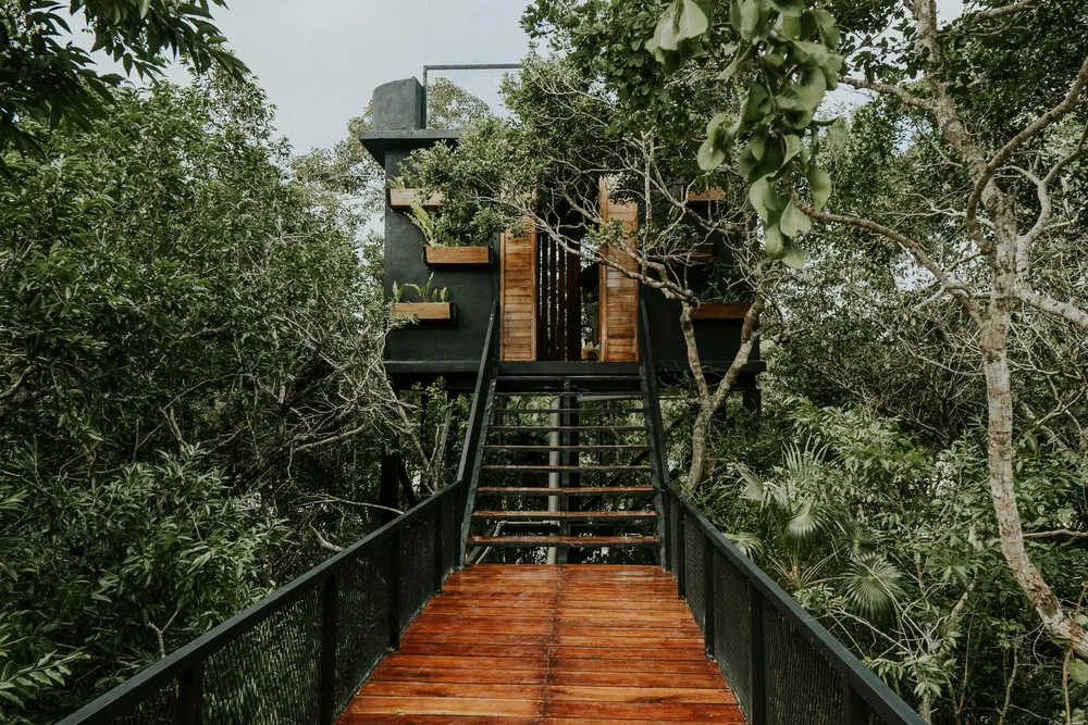 pexels-amar-15315190