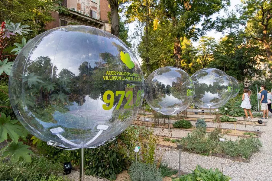 bienal-venecia-2025-carlo-rotti