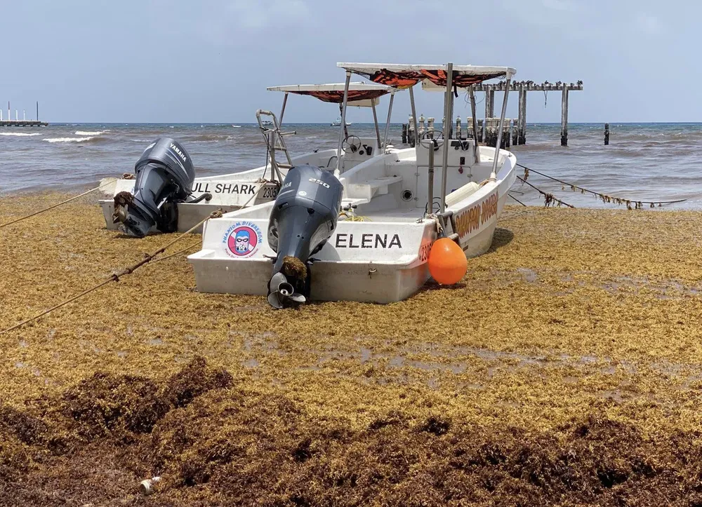 Captura de pantalla 2025-06-02 a la(s) 10.49.37 a. m.